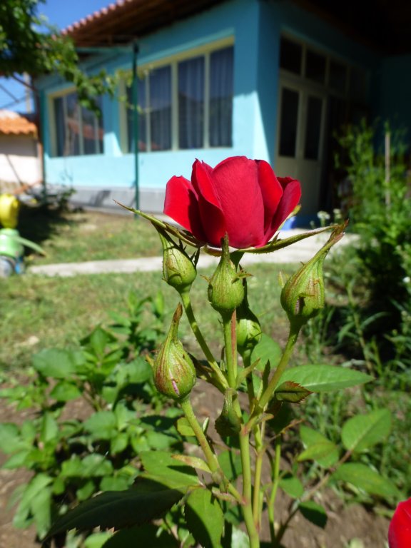 p1030965.jpg