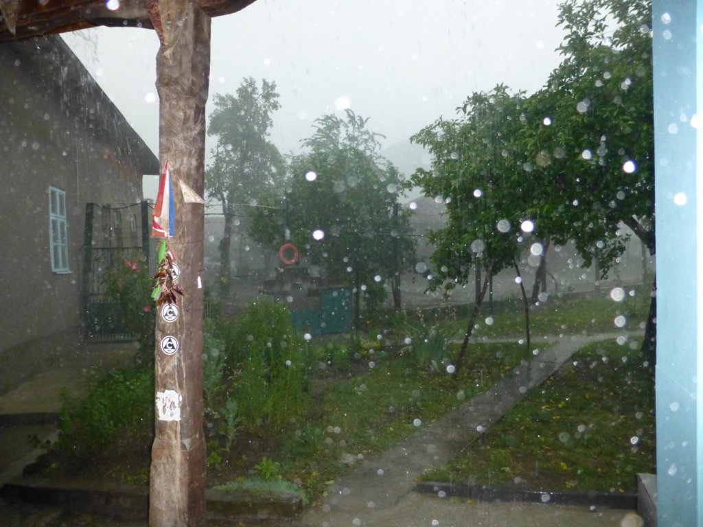p1030986.jpg
