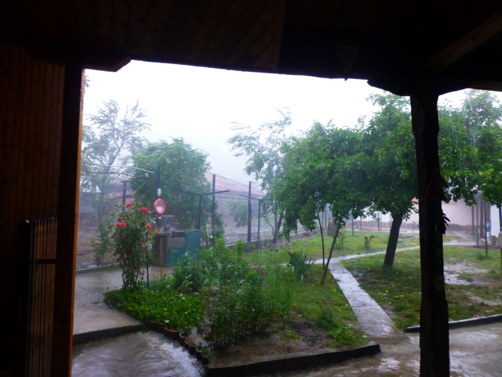 p1030988.jpg