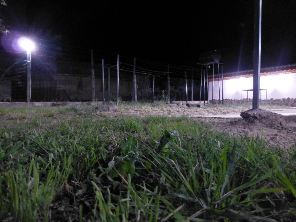 p1040001.jpg