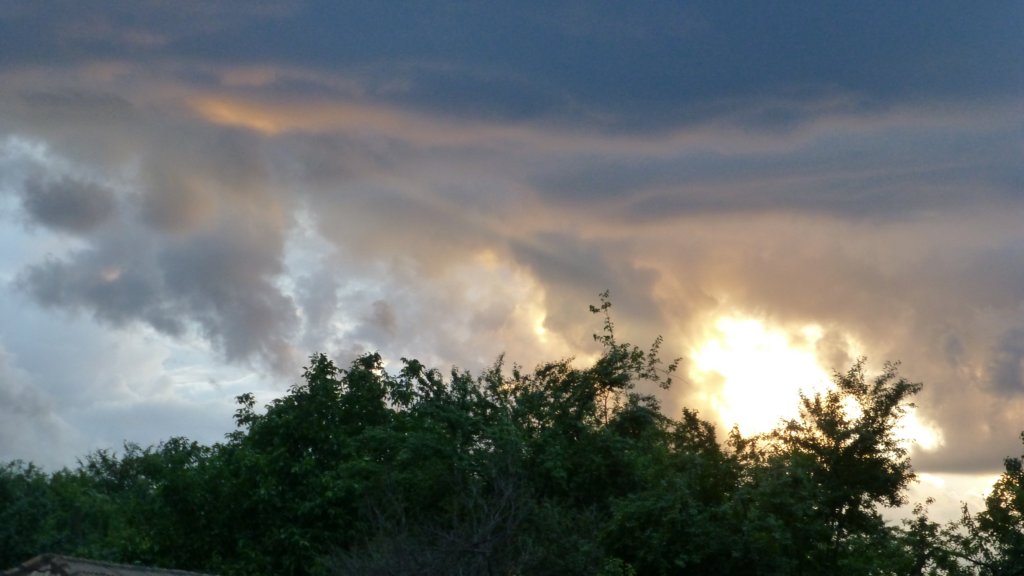 photo135.jpg