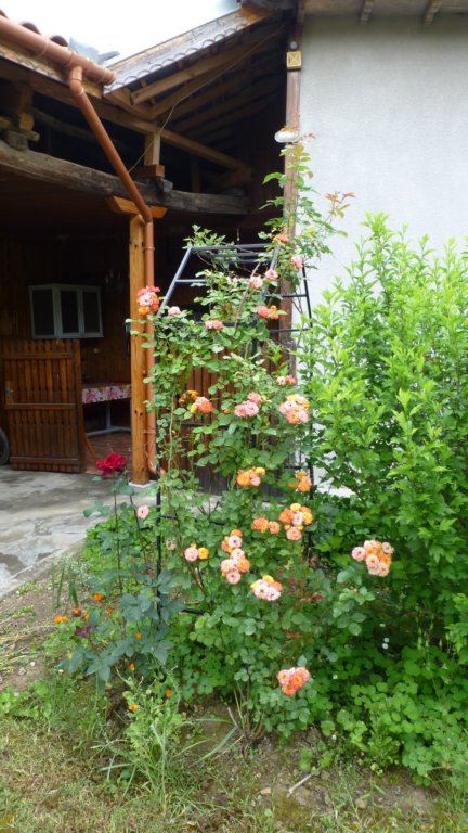 photo2.jpg