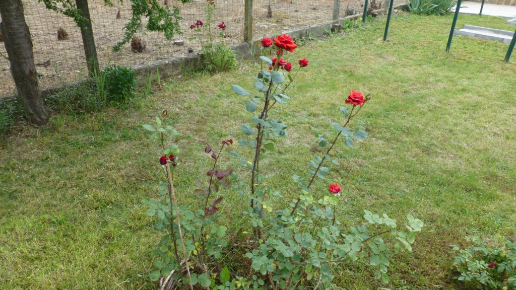 photo9.jpg