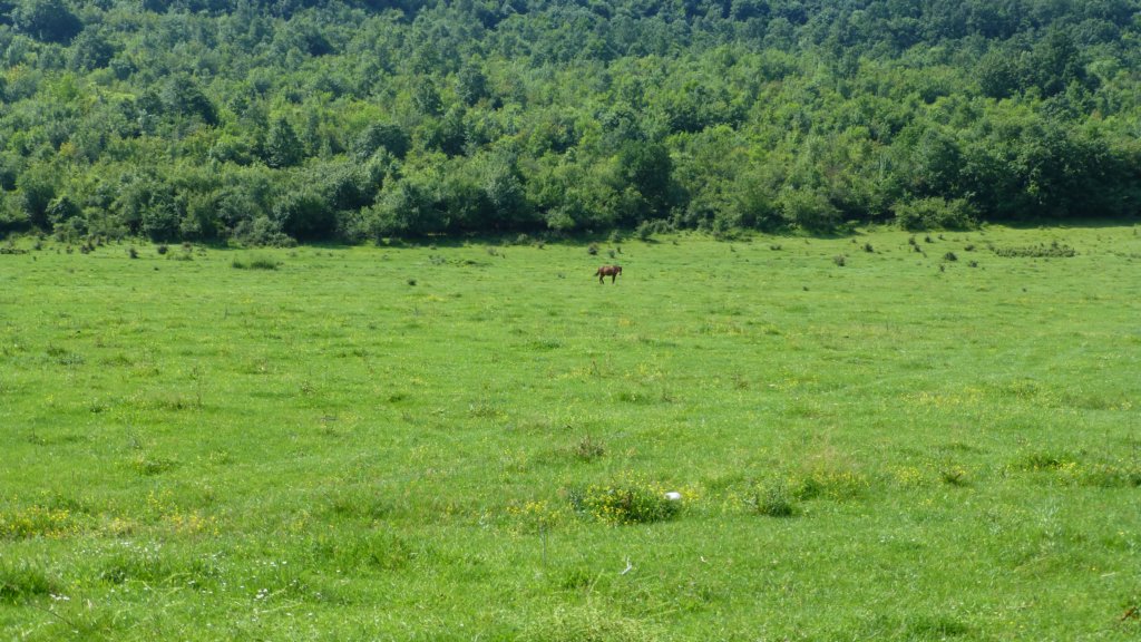 photo95.jpg