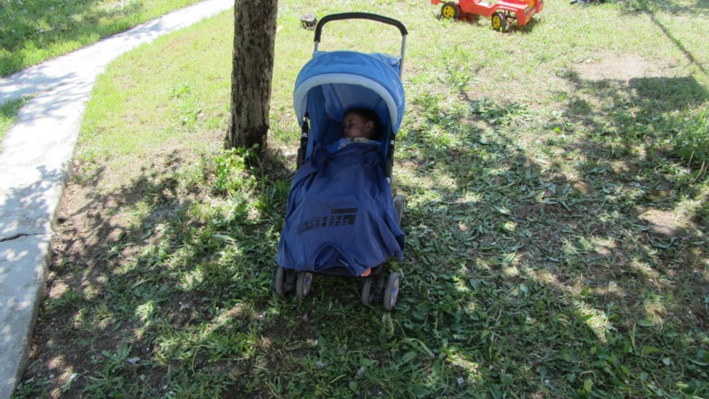 img_1246.jpg