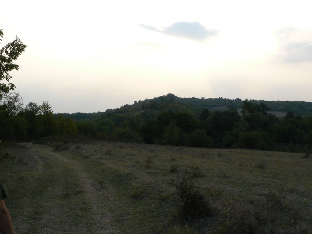 p1130061.jpg