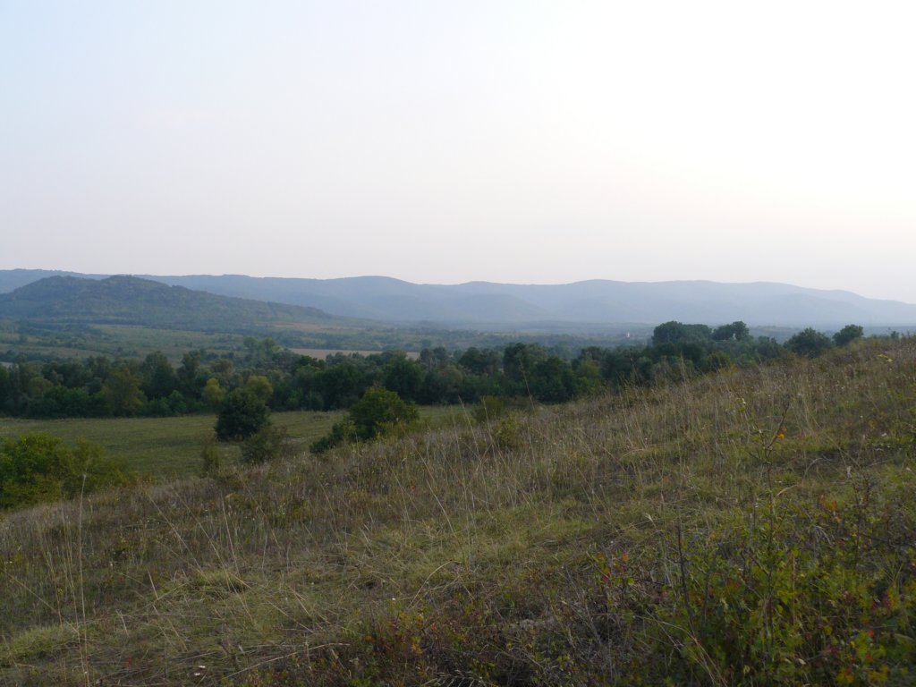 p1130064.jpg