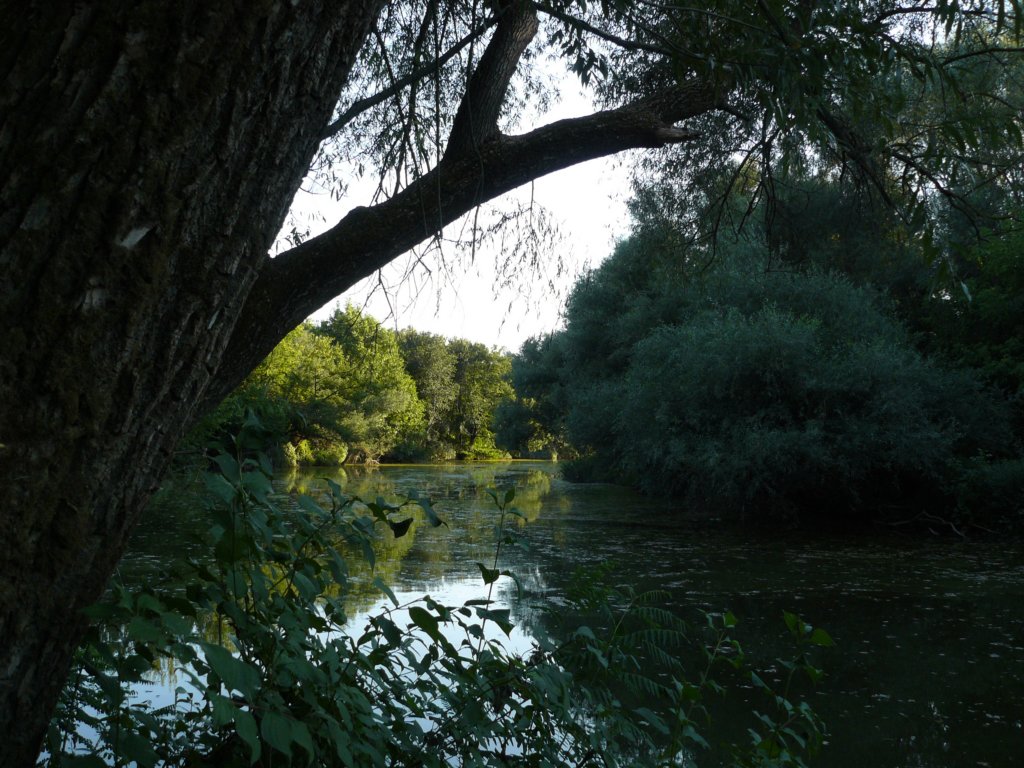 photo18.jpg
