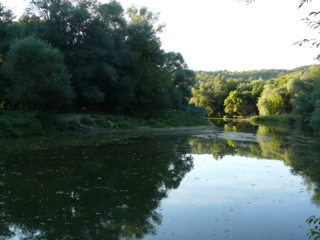 photo23.jpg