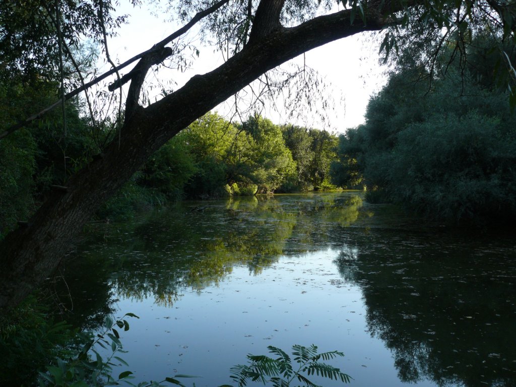 photo26.jpg