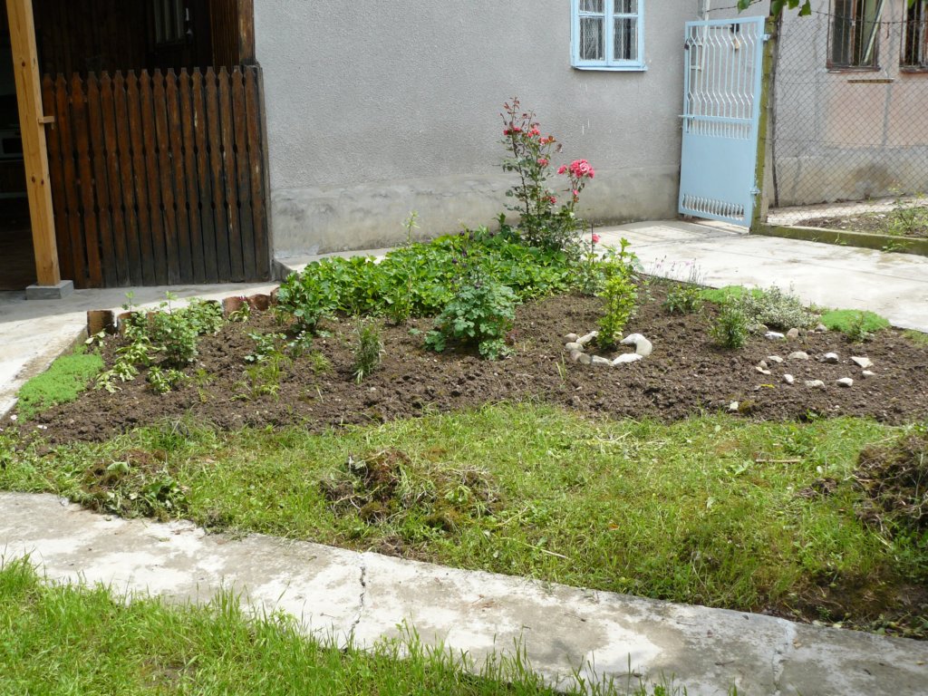 p1120077.jpg