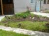p1120077_small.jpg