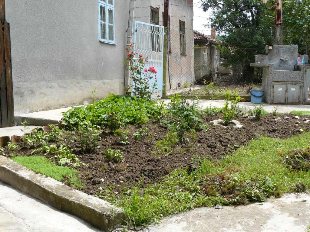 p1120112.jpg