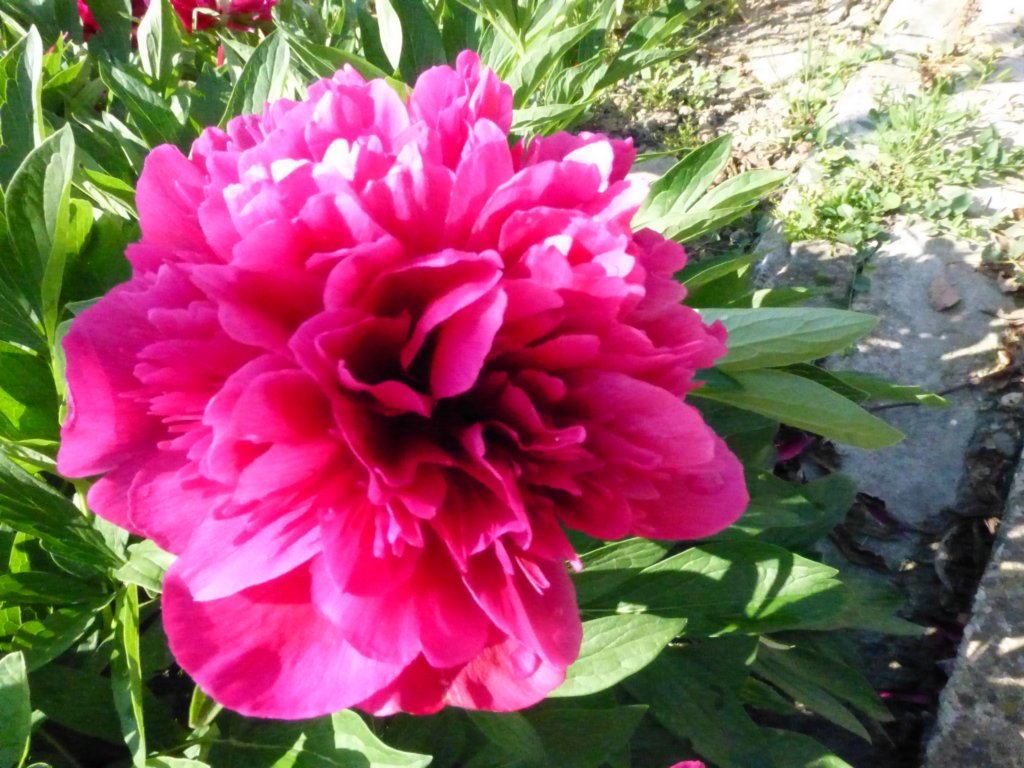 photo94.jpg