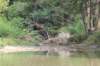 photo266_small.jpg