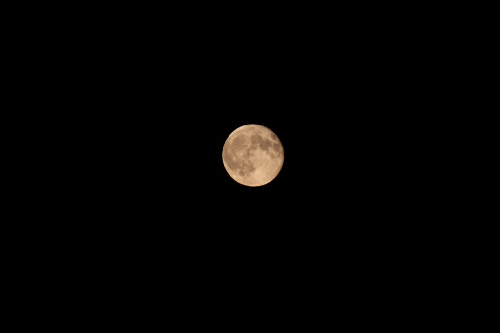 photo365.jpg