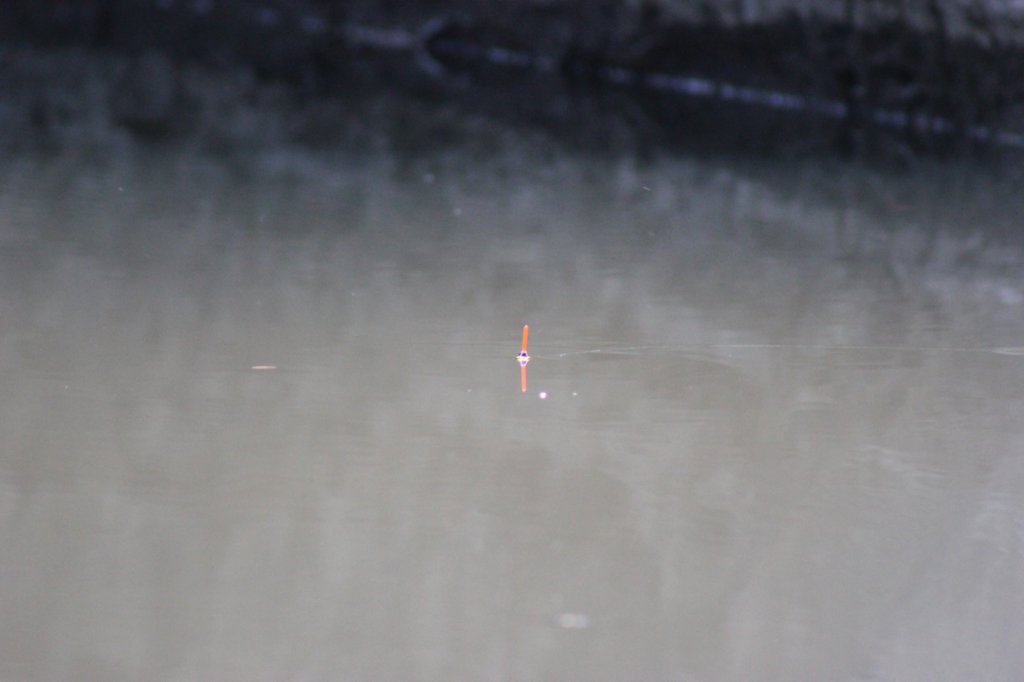photo62.jpg