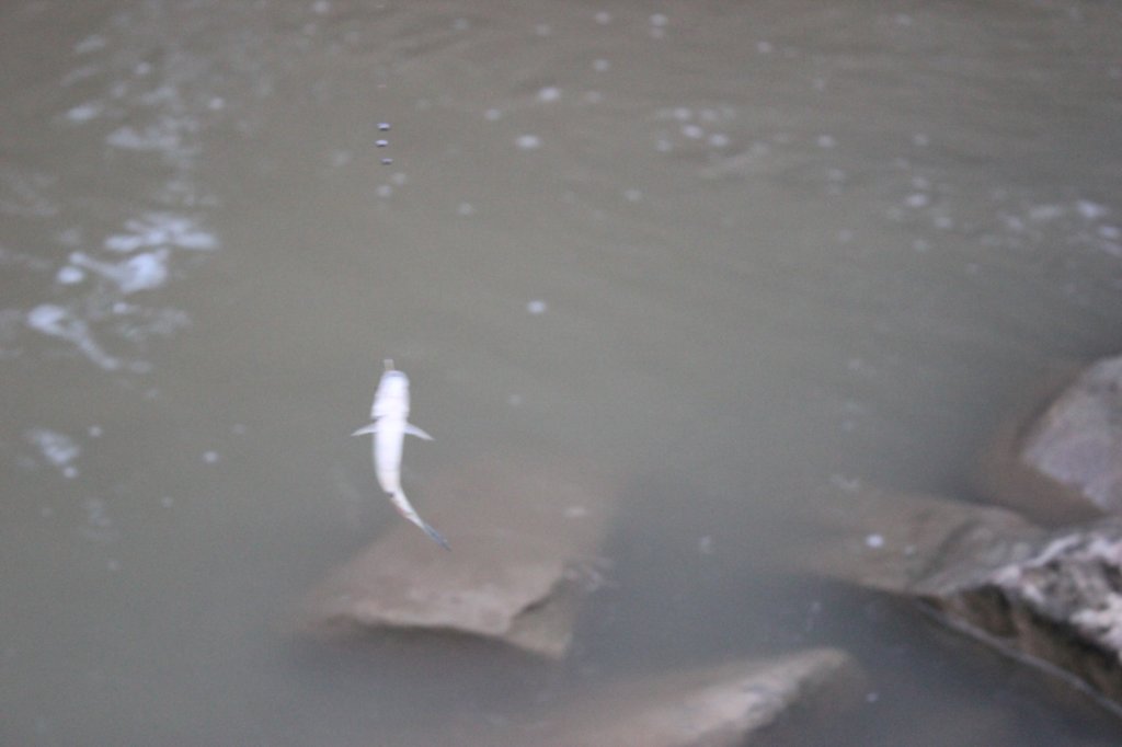 photo76.jpg