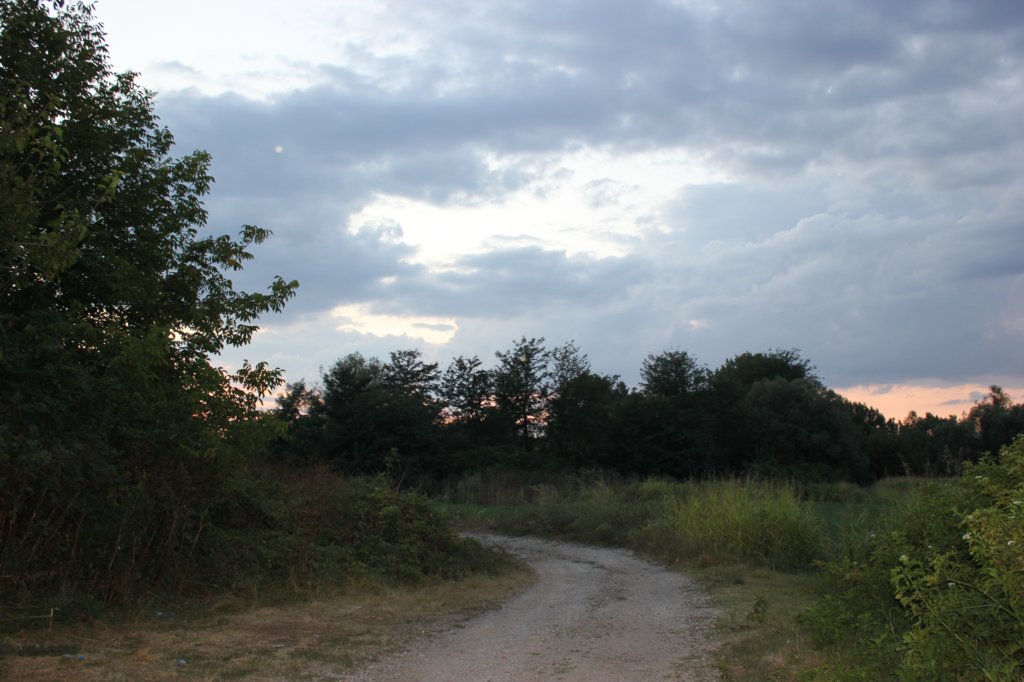 photo81.jpg