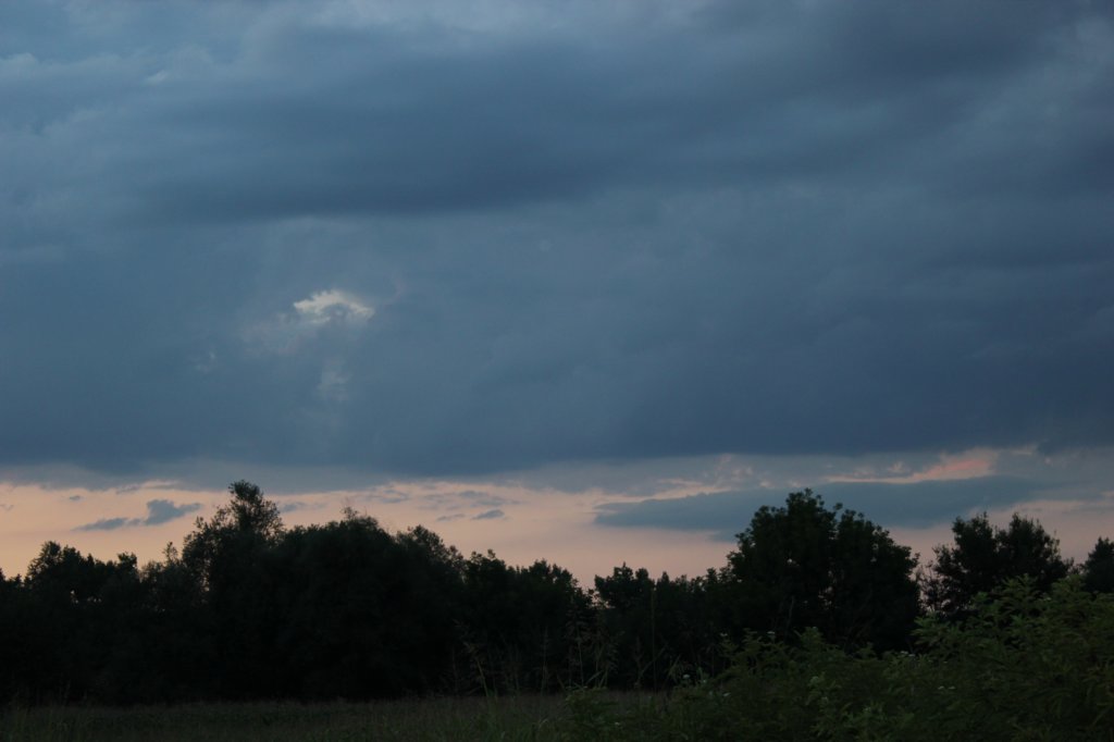 photo83.jpg