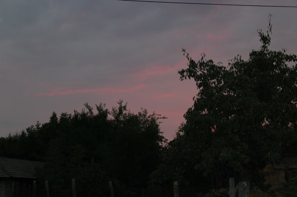 photo86.jpg