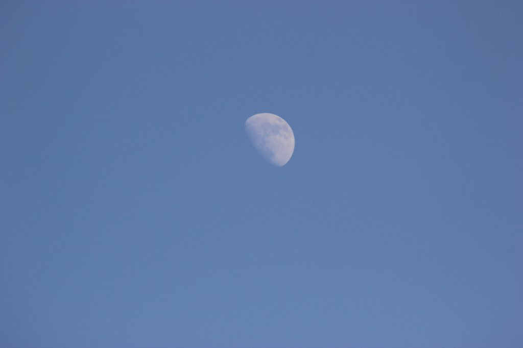 photo51.jpg