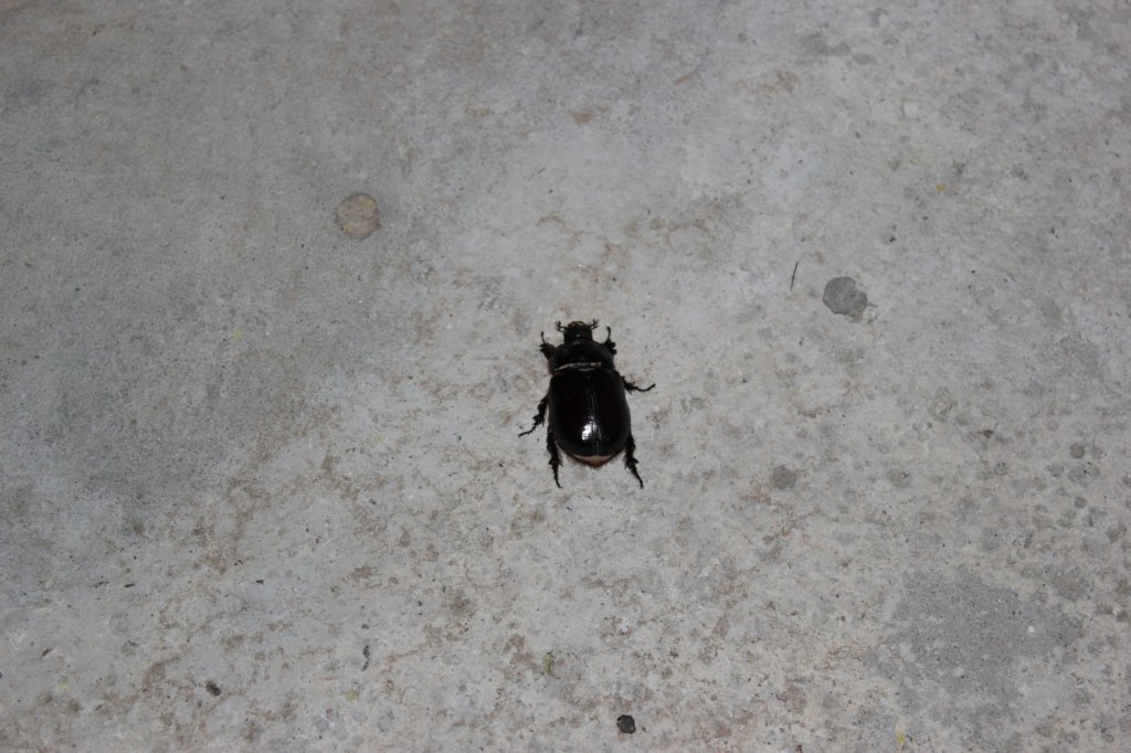 photo78.jpg