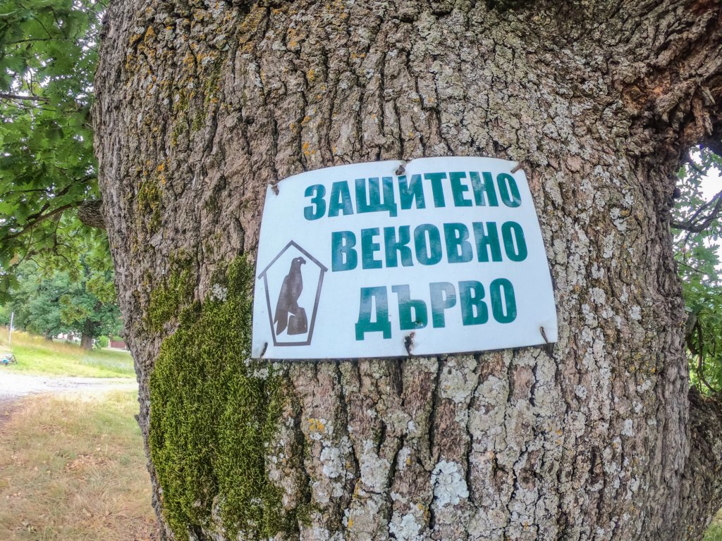 photo24.jpg