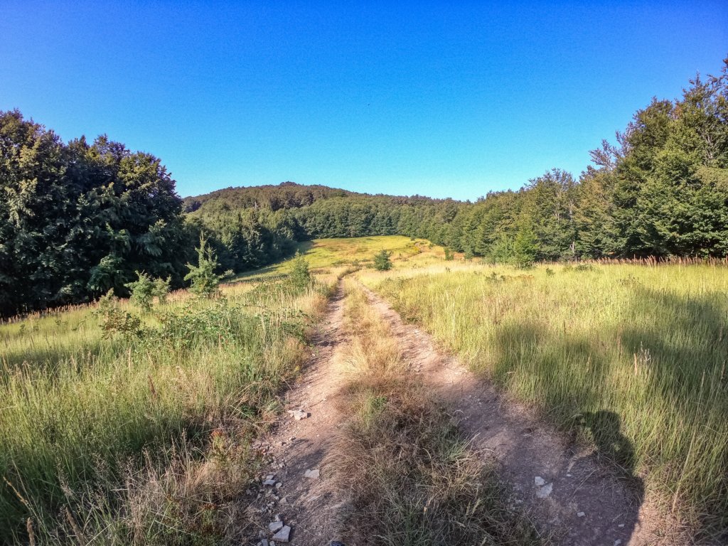 photo90.jpg
