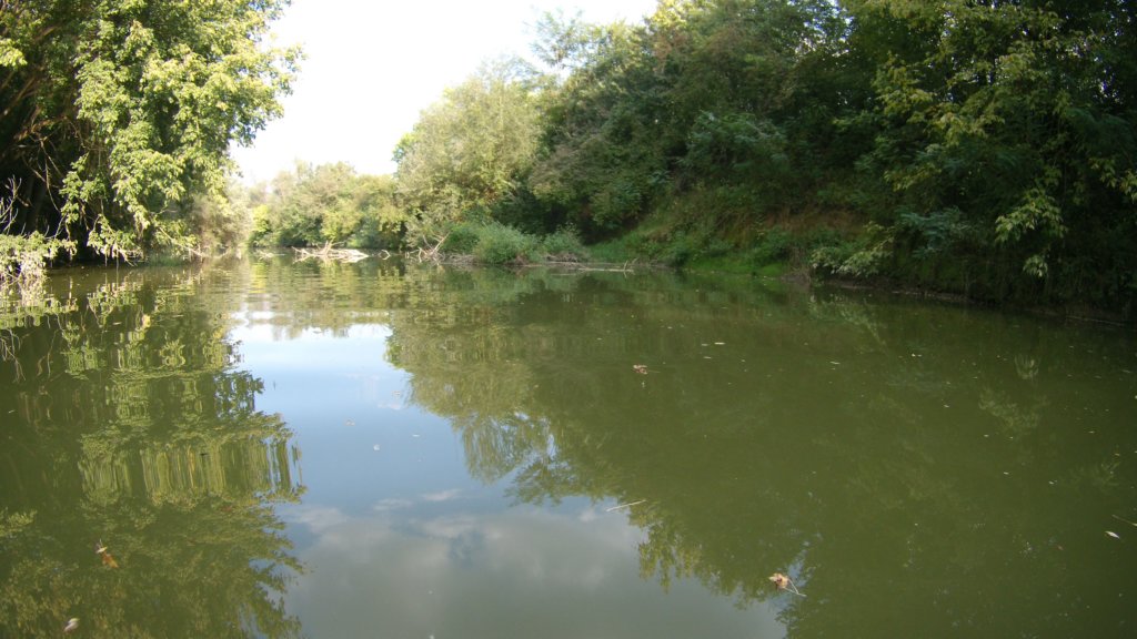 photo103.jpg