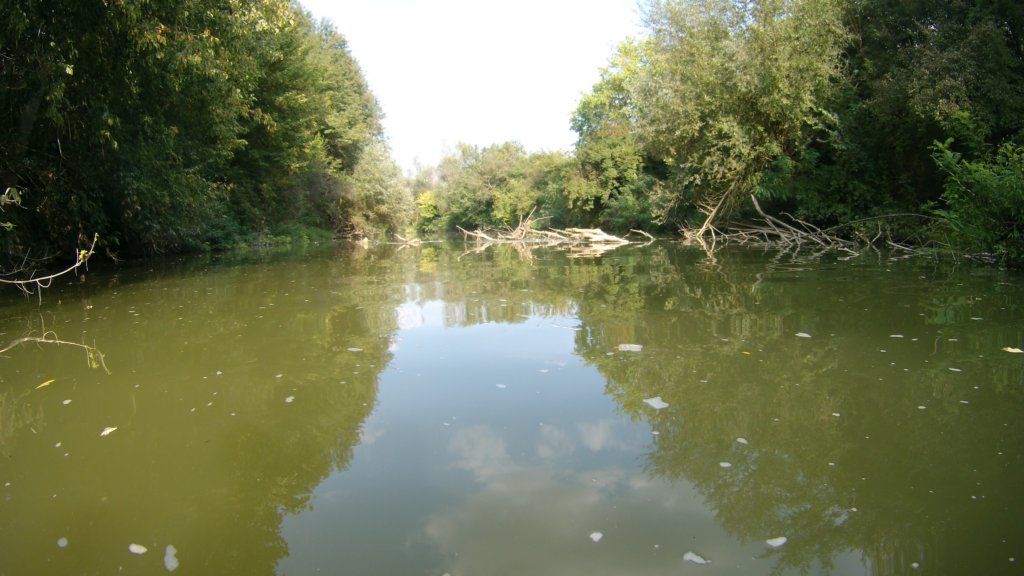 photo104.jpg