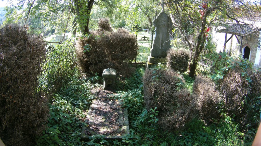 photo43.jpg