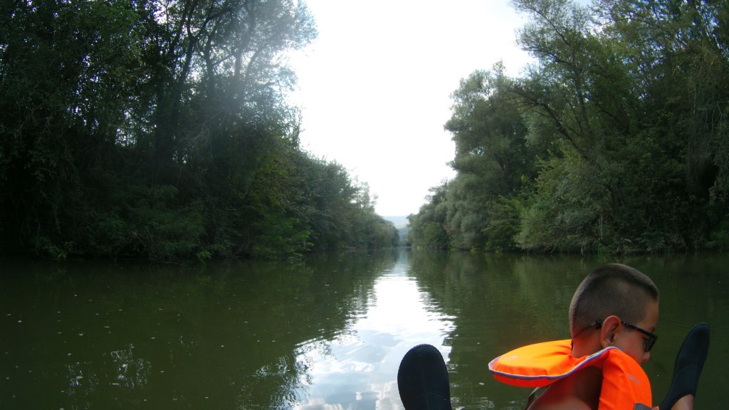 photo78.jpg