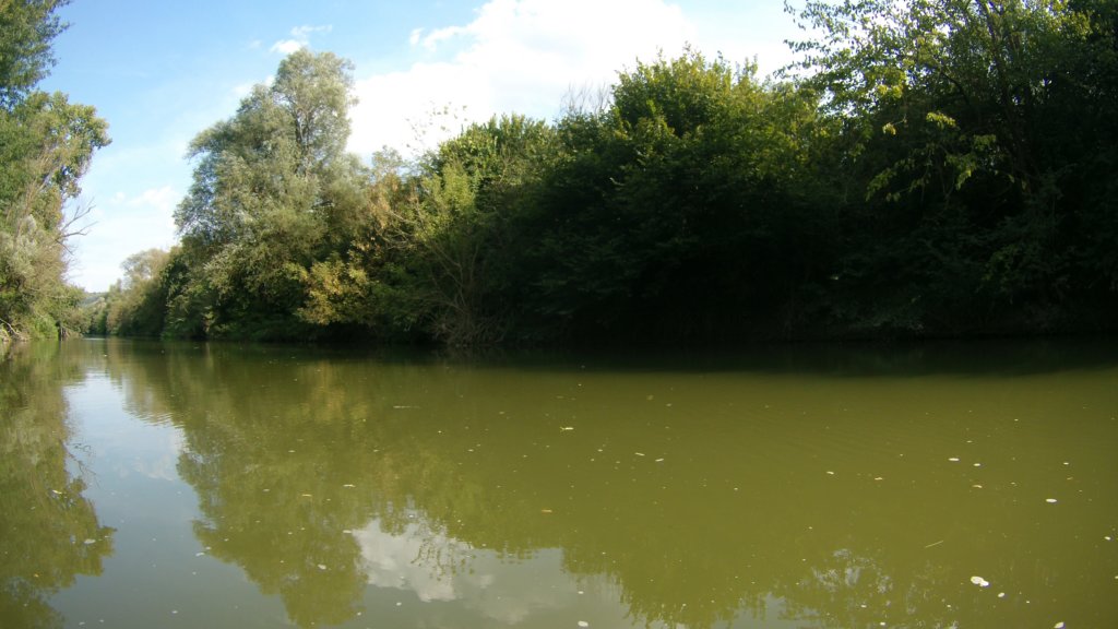 photo98.jpg