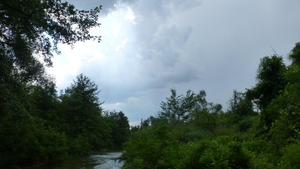 photo24.jpg