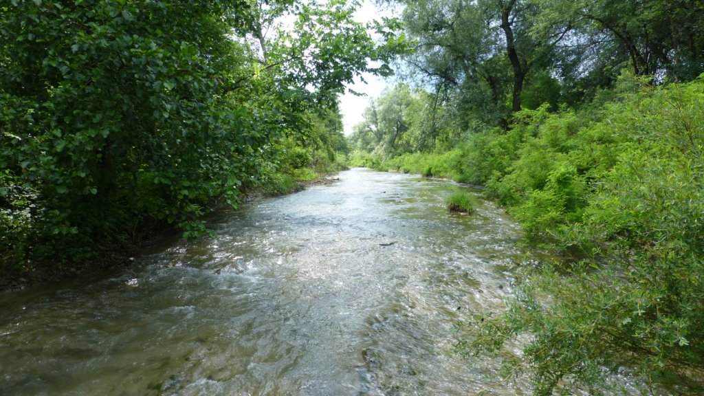 photo4.jpg