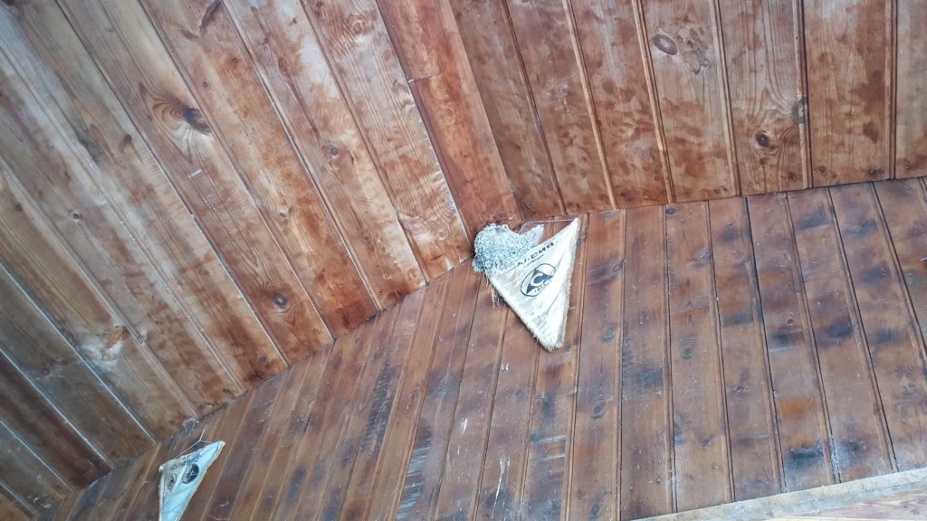 photo85.jpg