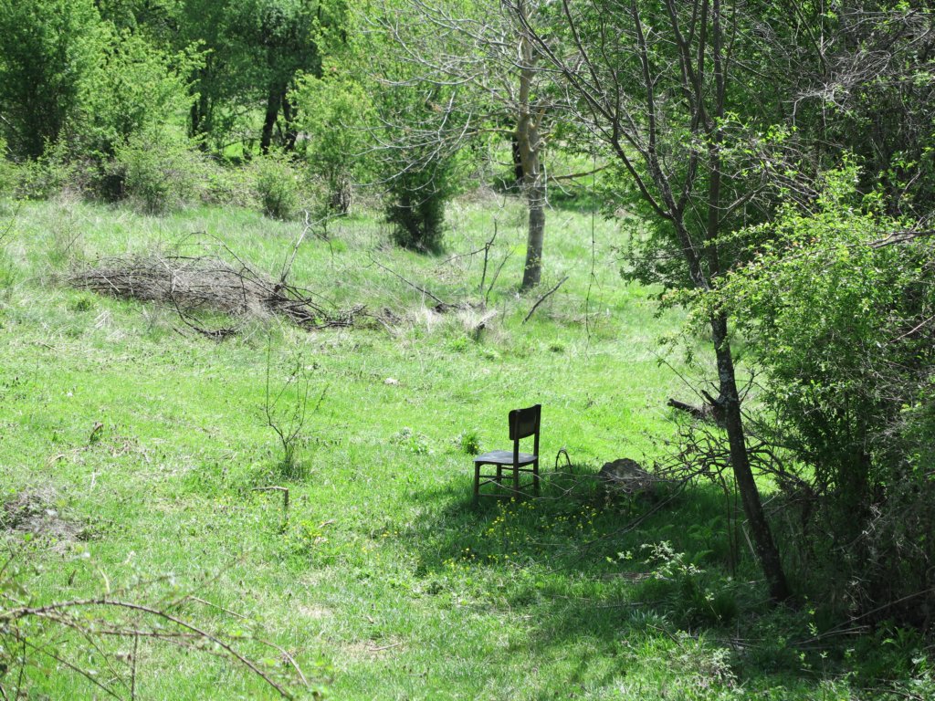 photo12.jpg