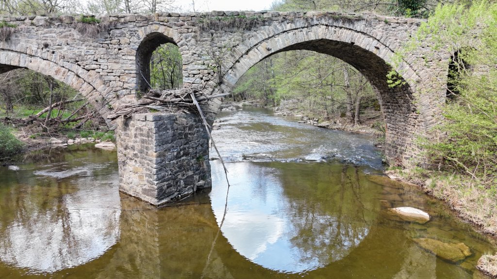 photo30.jpg