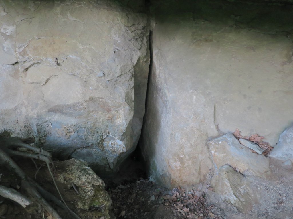photo86.jpg
