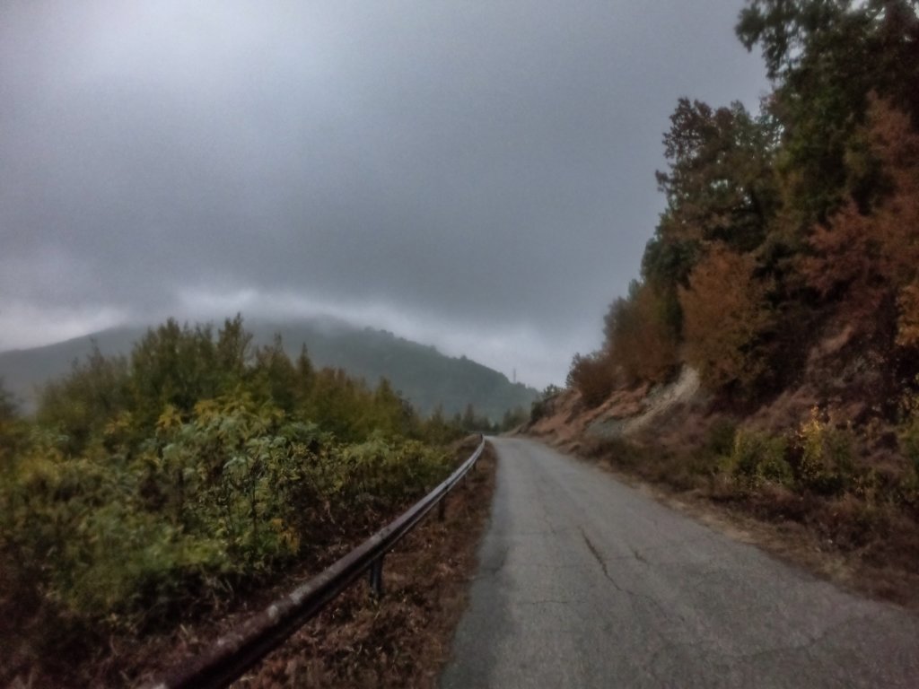 photo9.jpg
