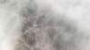photo100_small.jpg