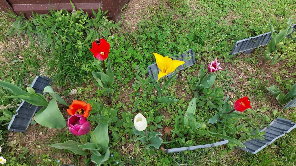 photo11.jpg