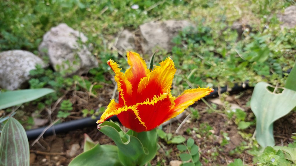 photo13.jpg