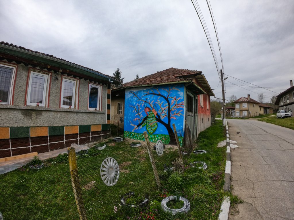 photo11.jpg