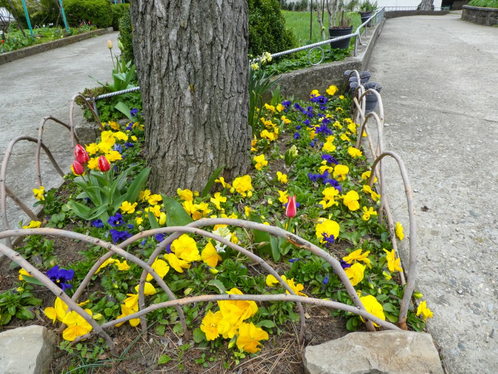photo25.jpg