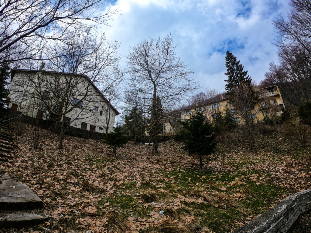 photo82.jpg