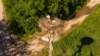 photo100_small.jpg