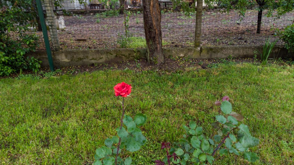 photo79.jpg