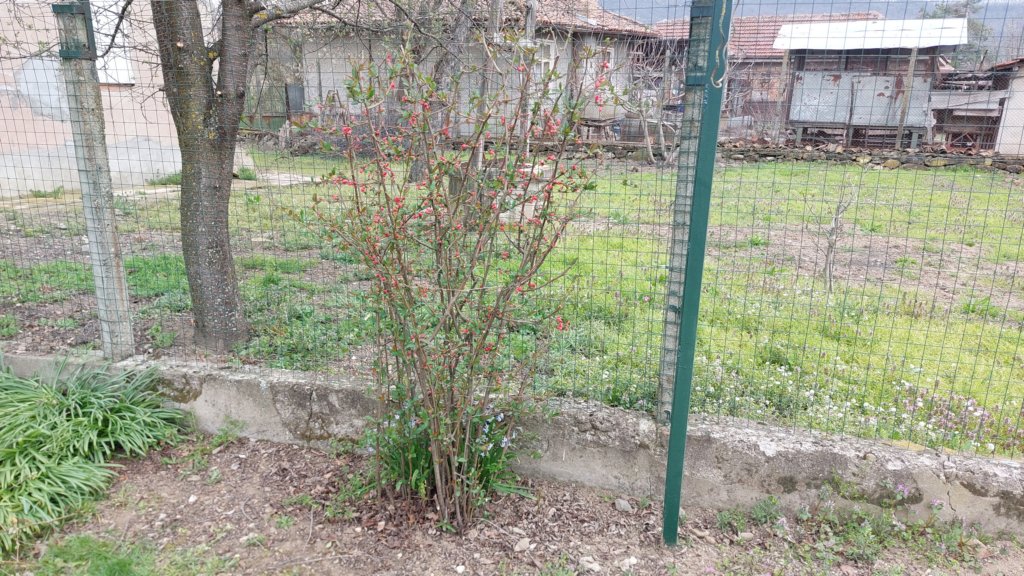 photo45.jpg